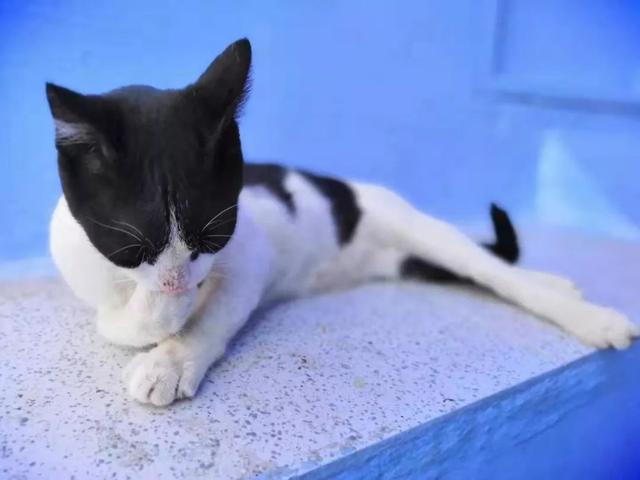 【转】摩洛哥给你一个五颜六色的浪漫