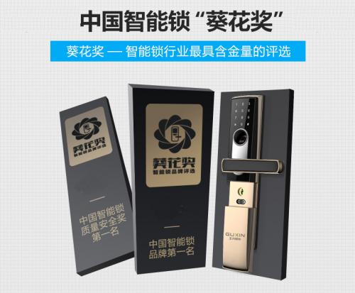 一扇门,一把锁,一种生活态度,一种美学主张
