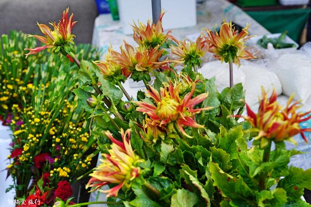 【转】这个少有人知的地方,人称小京都,是日本女性向往的日本旅行地