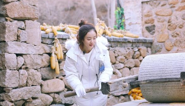 赵丽颖要和吴刚合作乡村题材作品,女方将出演一位农村妇女
