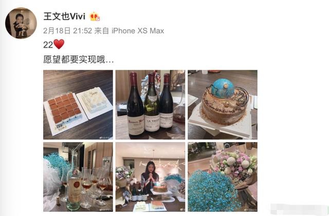 王文也庆生红酒一瓶4万5,女儿高调炫富,她老爸公司却巨亏39亿多