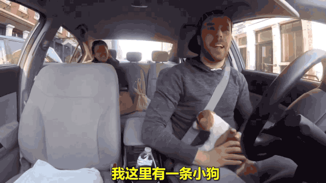 神奇!开车接客的小柯基治好了我的周一病