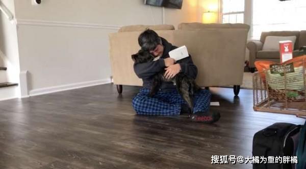 流浪异国的狗狗,被“*****”父亲收养,得知狗狗不走后感动得哭了