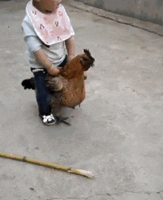搞笑GIF趣图:美女这是怎么了,一上来就这样喝酒,晚上还回得去吗?