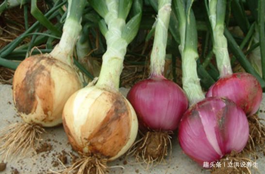 立春,多吃点此菜,燃烧脂肪,大肚子变平了,谁吃谁受益