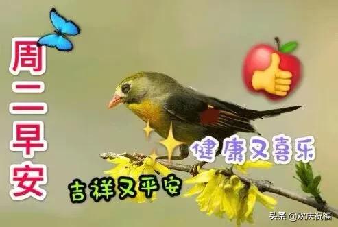 2020年3月10日最新早上好祝福图片 周二春天暖心早安问候语简短