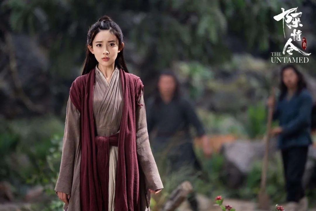 除了肖战王一博,《陈情令》这五美你最看好谁?