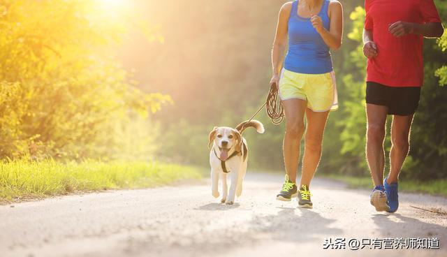 为什么体重正常,基本不吃肉,还是得了高血脂?