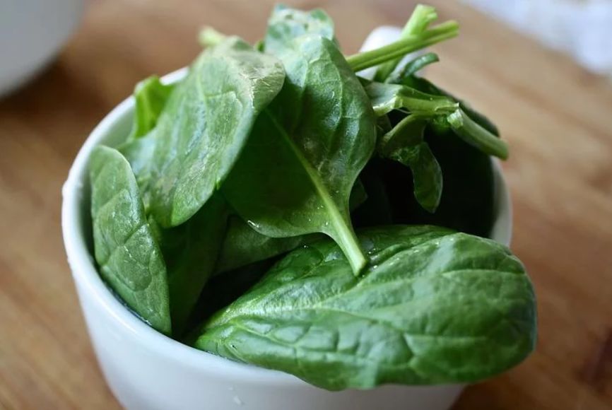 狗狗可以吃的10种最佳水果和蔬菜