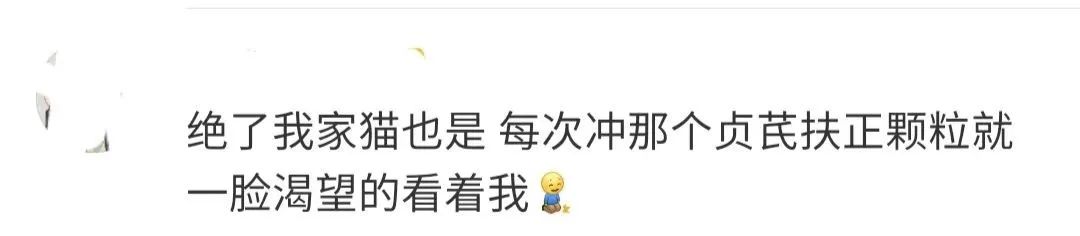 老板,我应聘是来工作的,不是来跳舞的啊