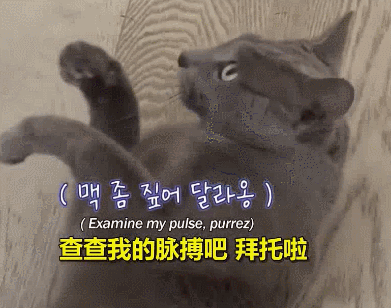 老板,我应聘是来工作的,不是来跳舞的啊