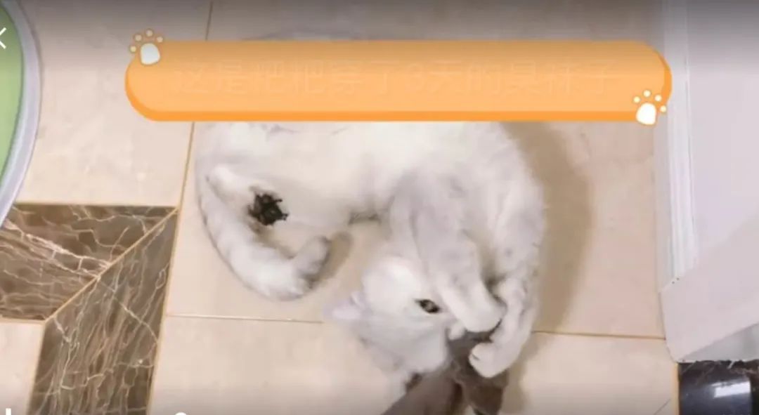 老板,我应聘是来工作的,不是来跳舞的啊
