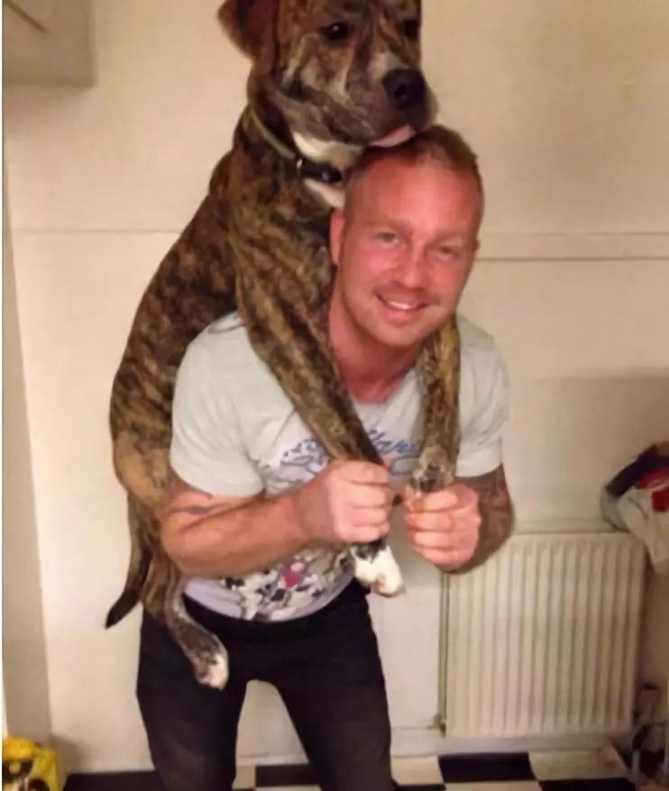 他是第一个为比特犬殉葬的主人,你怎么看