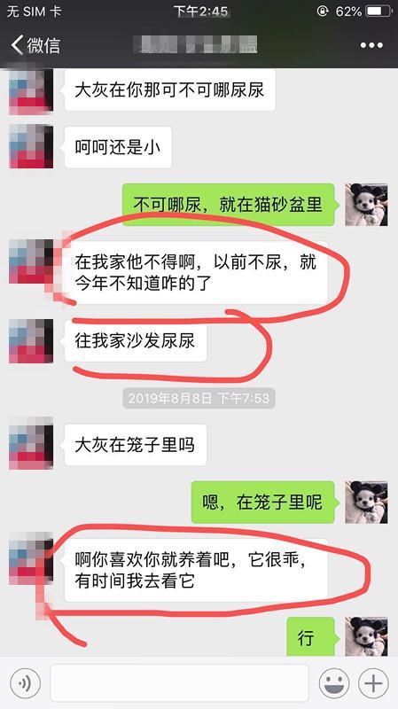 宠物会馆领养猫咪大半年,猫咪前主人突然现身把猫强行抱走?