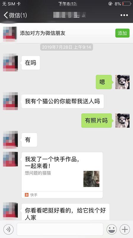 宠物会馆领养猫咪大半年,猫咪前主人突然现身把猫强行抱走?