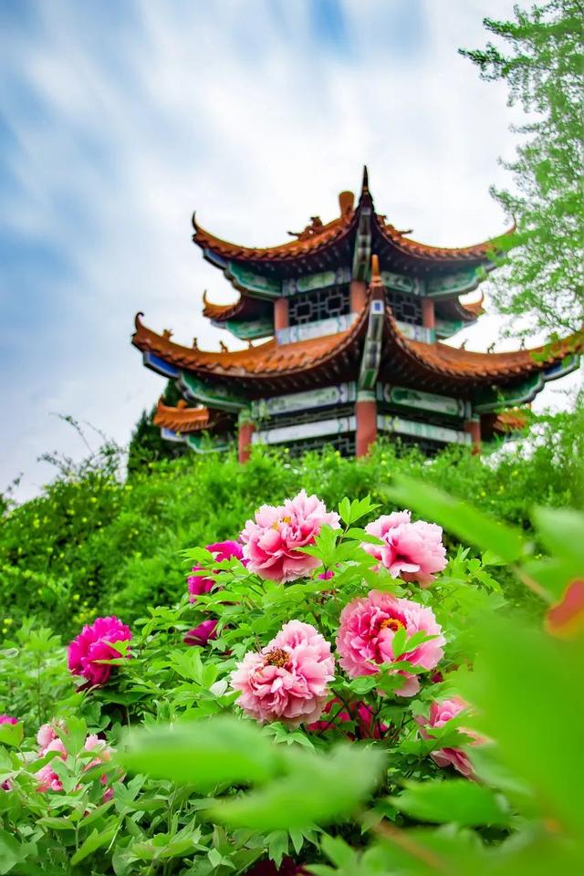 人间四月天,中国的春天有多美?