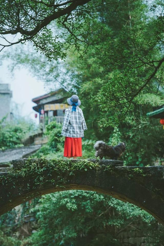 人间四月天,中国的春天有多美?