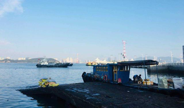 厦门神奇的29路公交,一站一景,被游客称为厦门最美公交旅游路线