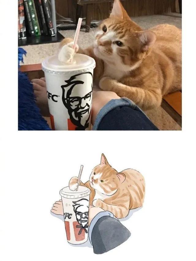 网友说,她家的猫有一种与年龄不相符的成熟
