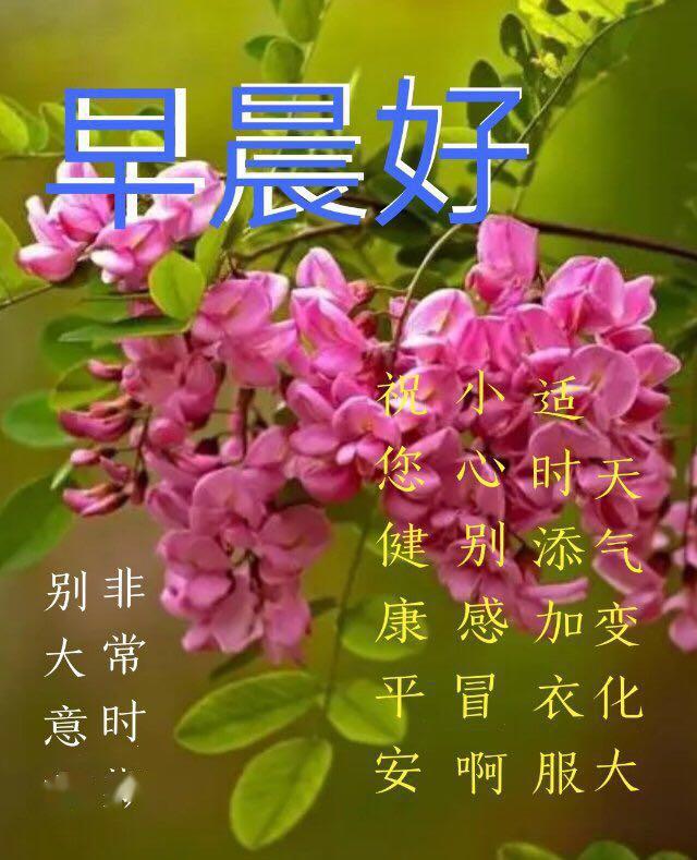 2020早安祝福语短信大全 周五早上好问候表情图片带字带祝福语