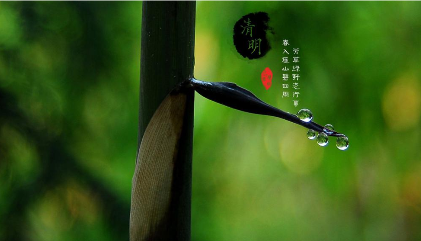 【诗词鉴赏】又是一年清明时,从这些诗词中品读清明!