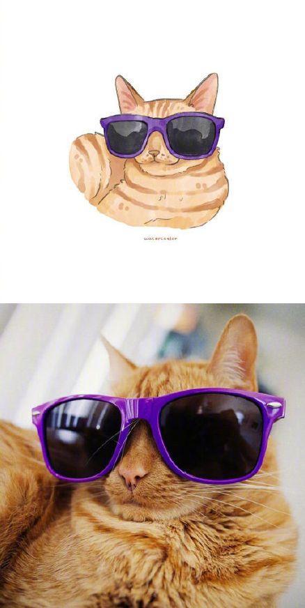 网友说,她家的猫有一种与年龄不相符的成熟