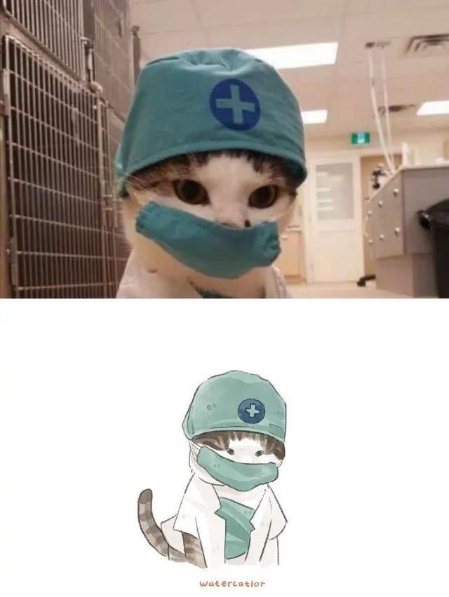 网友说,她家的猫有一种与年龄不相符的成熟