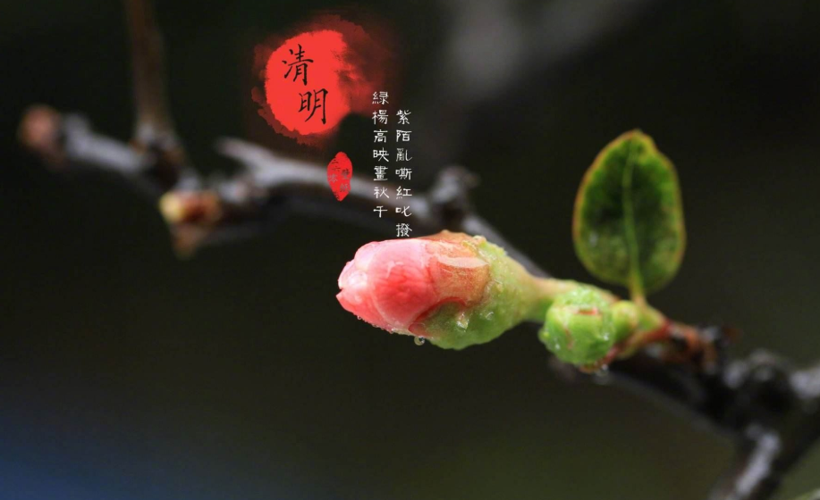 【诗词鉴赏】又是一年清明时,从这些诗词中品读清明!