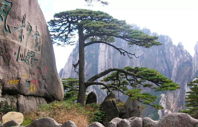 来黄山旅游必吃三大美食,其中两种闻着味道怪却很美味,你试过么