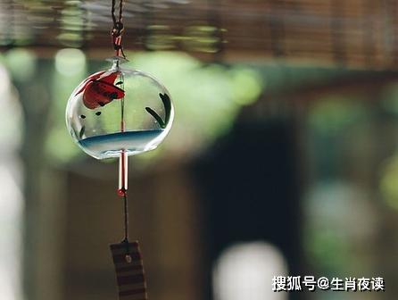 5月,月老牵线,爱未减,情更浓,3生肖重逢旧爱,爱得如痴如醉