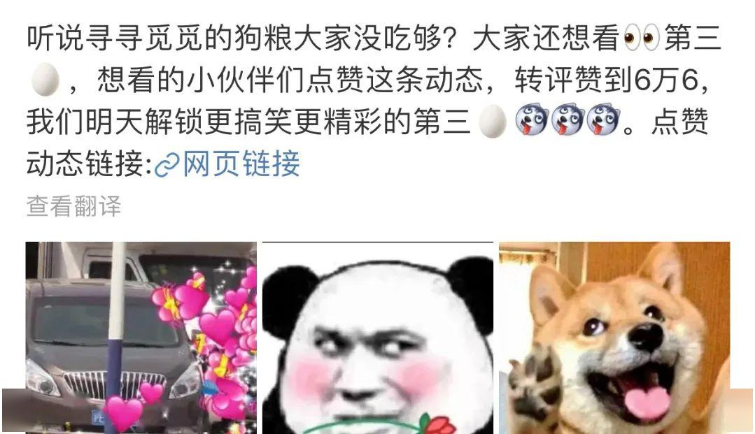 杨幂魏大勋锤了!06超女还在撕;刘梦媚粉;换头竟然和她搞一起了