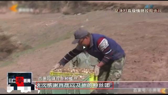 时隔51天肖战再因粉丝上新闻,作品直播活动被举报,复出陷入死局