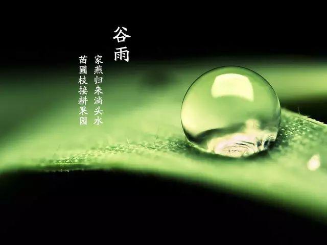 诗词丨谷雨:沐一场人间春色,听一曲雨落情长