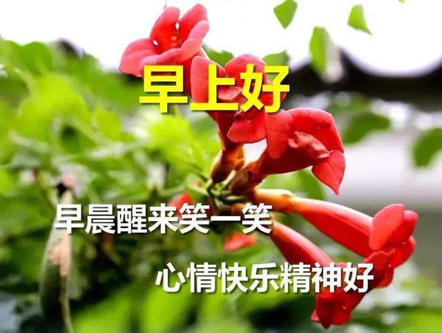 4月20日周一清晨早上好问候祝福动态图片 4月最新早安问候语图片