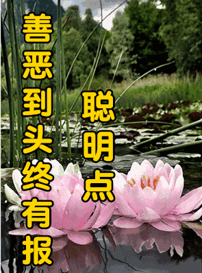 早上好,今天是2020年4月23日,你的祝福我先送到,愿你周四愉快
