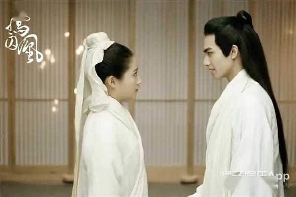 这些言情白月光跌落神坛?杨洋黄晓明用力过猛,改编毁原著是真的