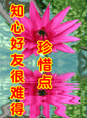 早上好,今天是2020年4月23日,你的祝福我先送到,愿你周四愉快