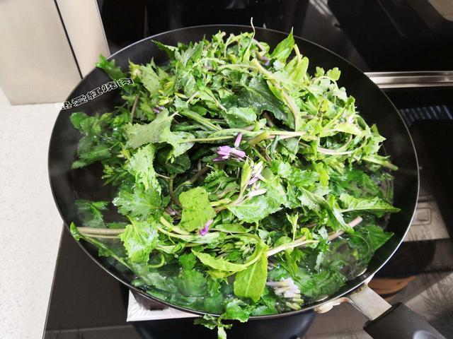 每次见到这野菜我都要揪点,回来包大菜团子,家里老人可爱吃了