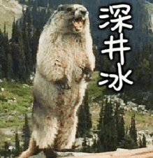 这辣眼CP,真磕不下去