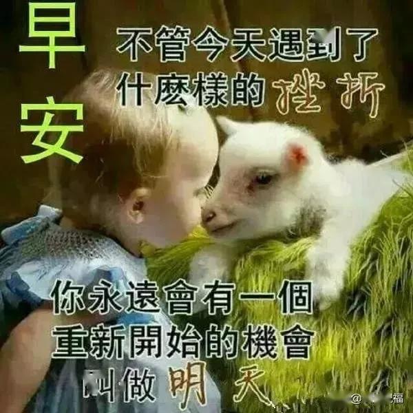 5月3日问候大家早上好美图,清晨祝福早上好问候语温馨语录