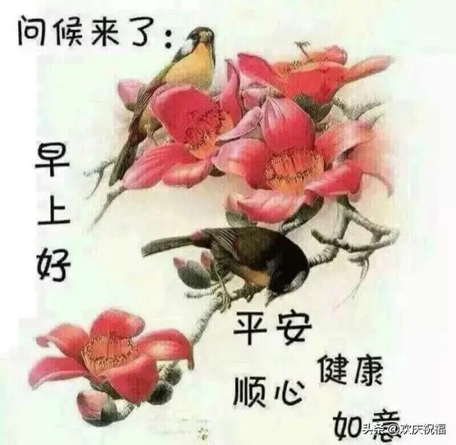 5月3日问候大家早上好美图,清晨祝福早上好问候语温馨语录