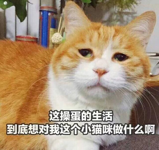 十条笑话:哥啊,红烧肉是用糖上色的不是用血
