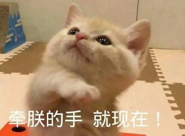 十条笑话:哥啊,红烧肉是用糖上色的不是用血