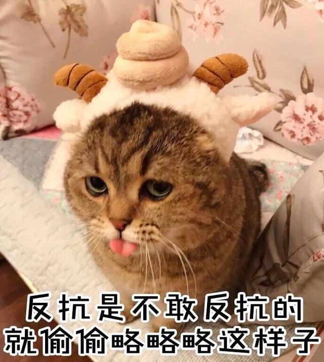 十条笑话:哥啊,红烧肉是用糖上色的不是用血