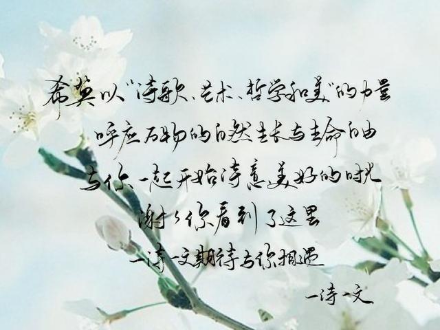 世人慌慌张张,不过是图碎银几两,超戳心揭露人间现实的句子和诗
