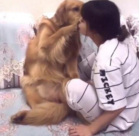 女主人跟宠物狗为何不宜太过亲近?原因无非这3点