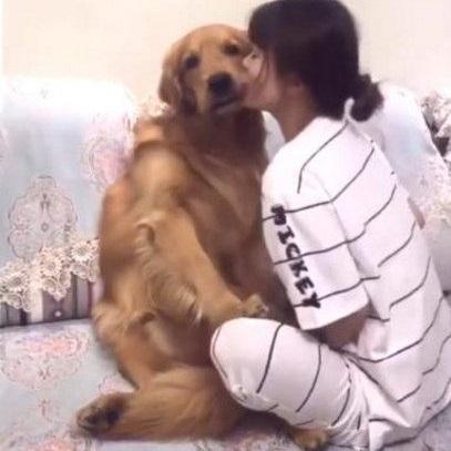 女主人跟宠物狗为何不宜太过亲近?原因无非这3点