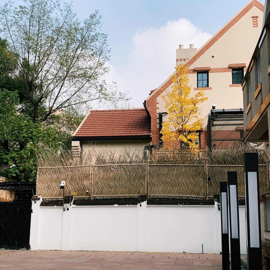 【转载】上海迪士尼即将重新开园,趁机重游这座城!