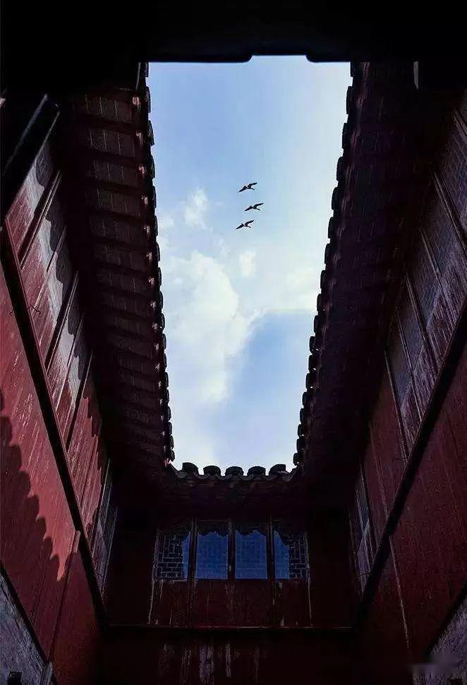母亲,我一世的岁月静好