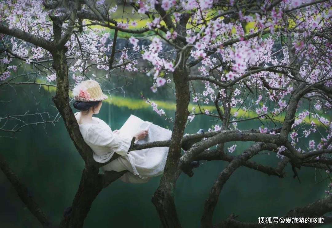 【转载】马云都来悄悄拜访!这座浙西小县城,究竟有什么魔力?